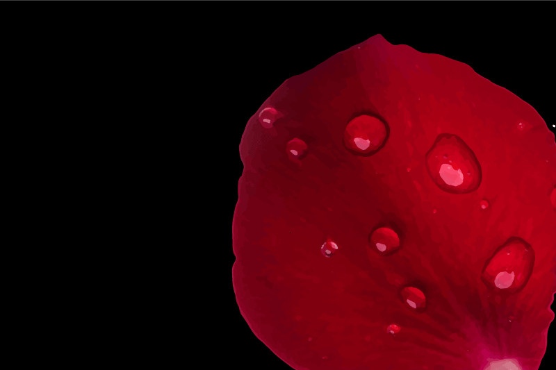 Tovaglietta americana superficie petali rossi - TenStickers