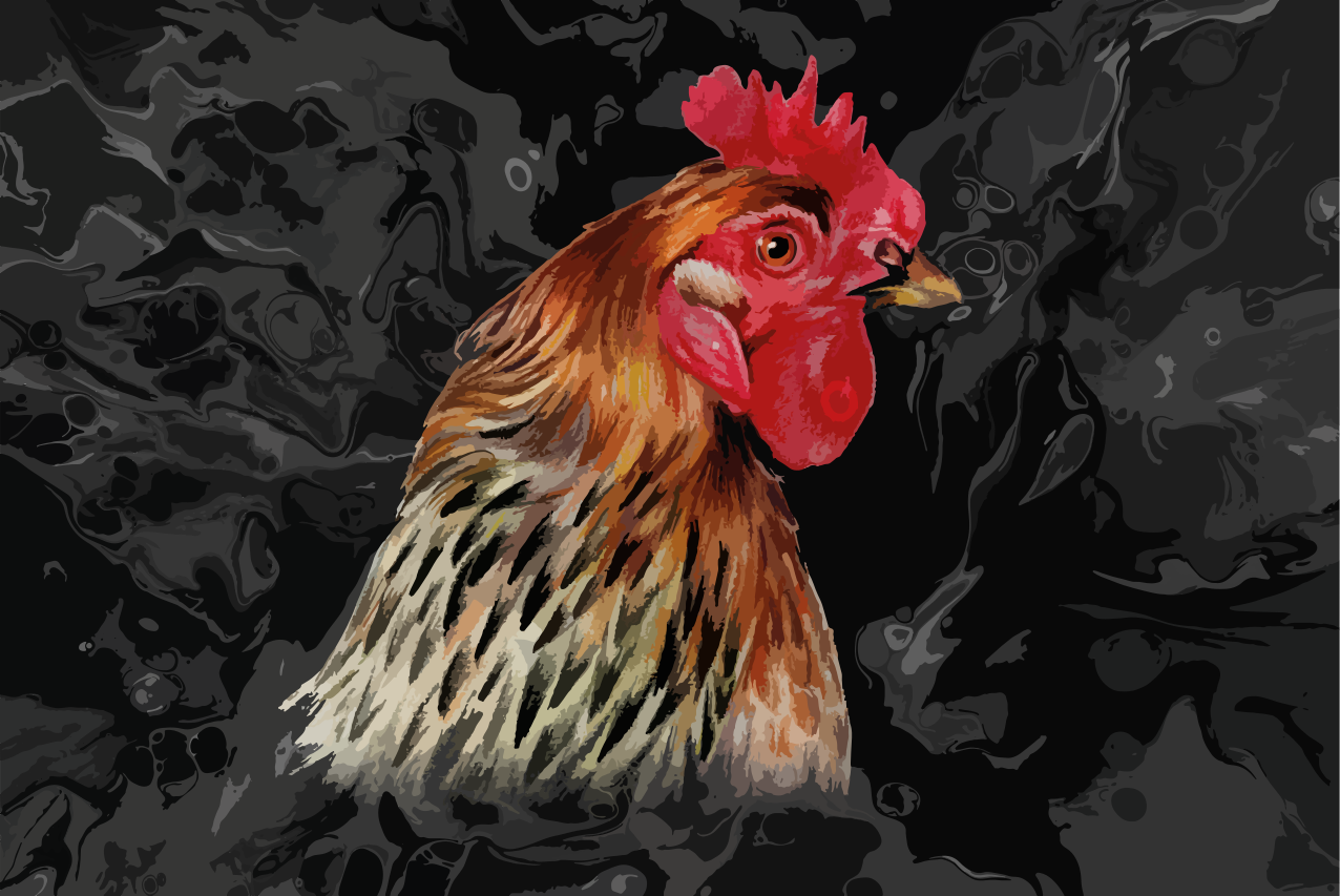 Tovaglietta americana originale ritratto di gallo colorato - TenStickers