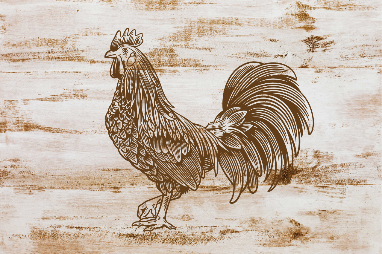 Tovaglietta americana moderna illustrazione gallo stiloso - TenStickers