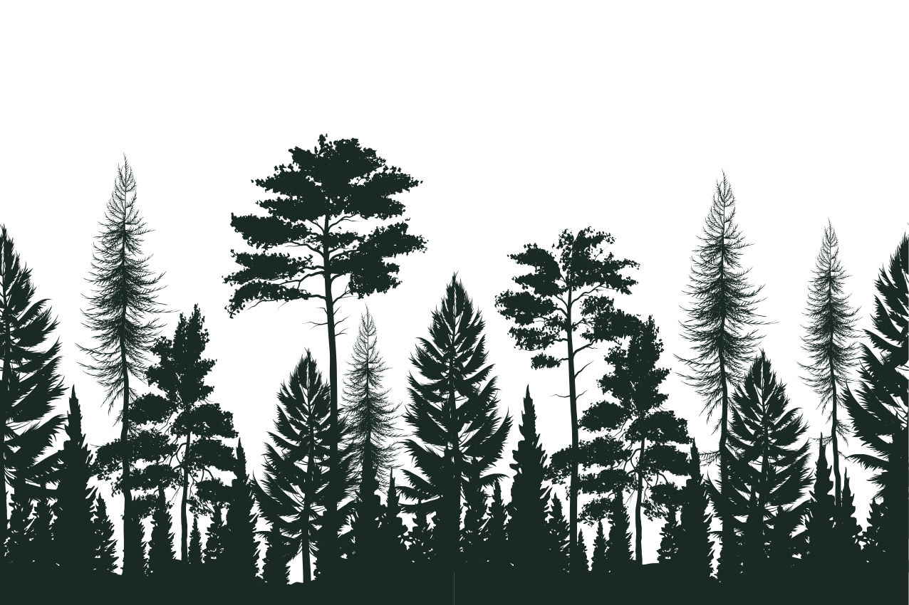 Tovaglietta americana motivo silhouette foresta - TenStickers
