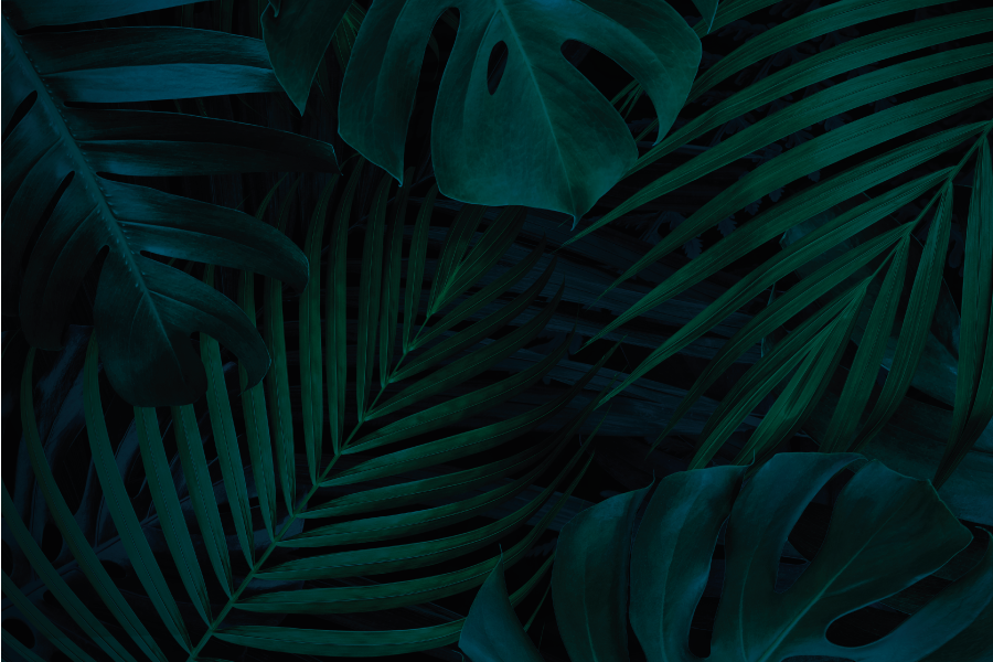 Tovaglietta americana fascino foglia tropicale - TenStickers