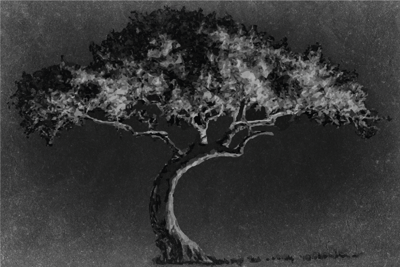 Tovaglietta americana silhouette artistica di albero - TenStickers