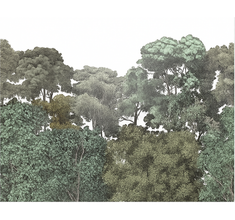 Carta da parati per ragazzi motivo della foresta pluviale - TenStickers