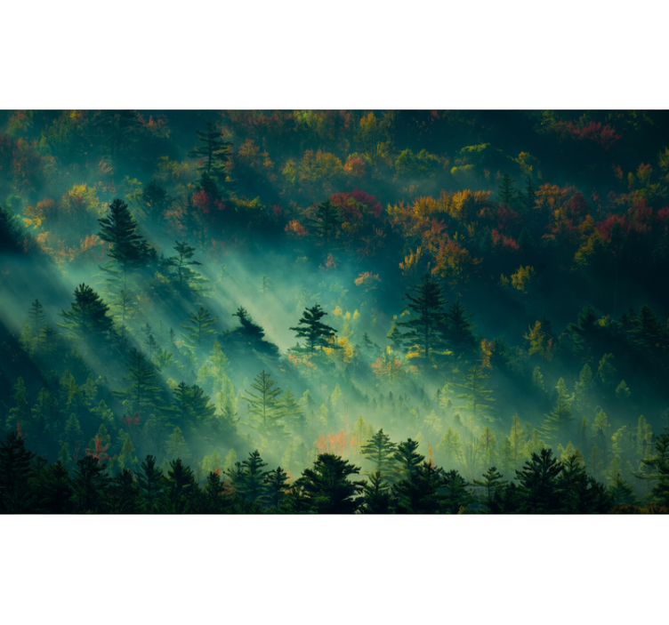 Carta da parati foresta la foresta melanconica - TenStickers