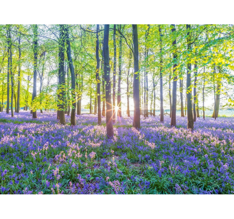 Carta da parati foresta modernismo ispirato alla natura - TenStickers