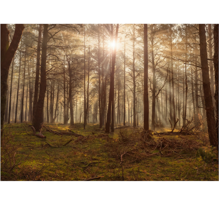 Carta da parati foresta salotto della fauna dorata - TenStickers