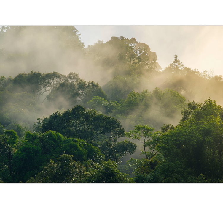 Carta da parati foresta copertura della giungla lussureggiante - TenStickers