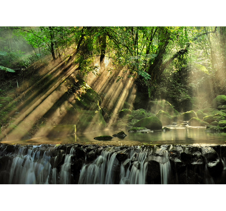 Fotomurale segreto albero forestale - TenStickers