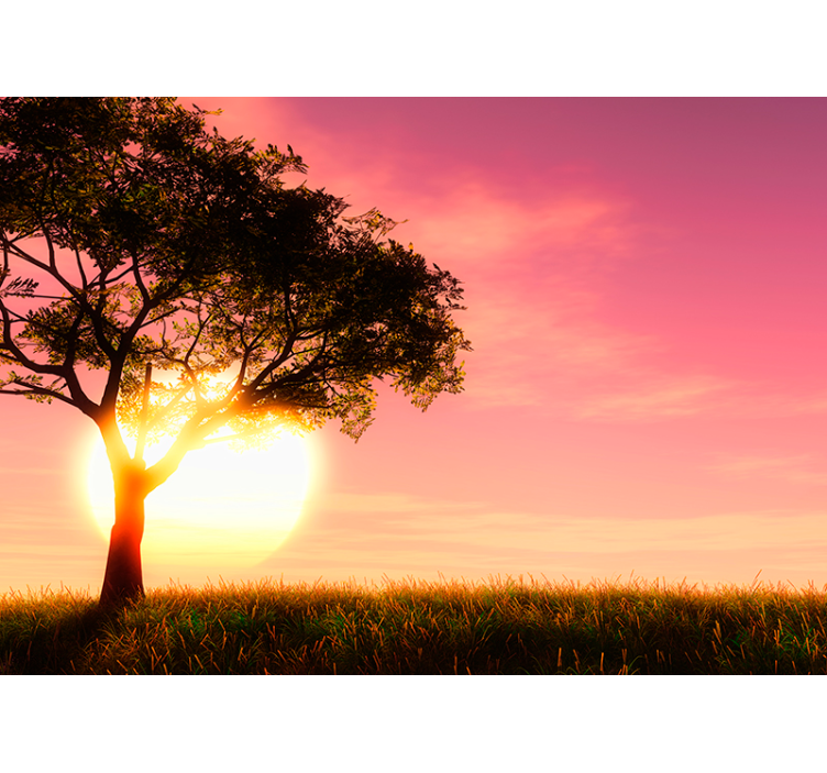 Fotomurale di paesaggio con tramonto e albero - TenStickers