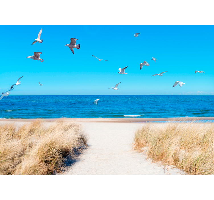 Fotomurale mare tranquillità del mare - TenStickers