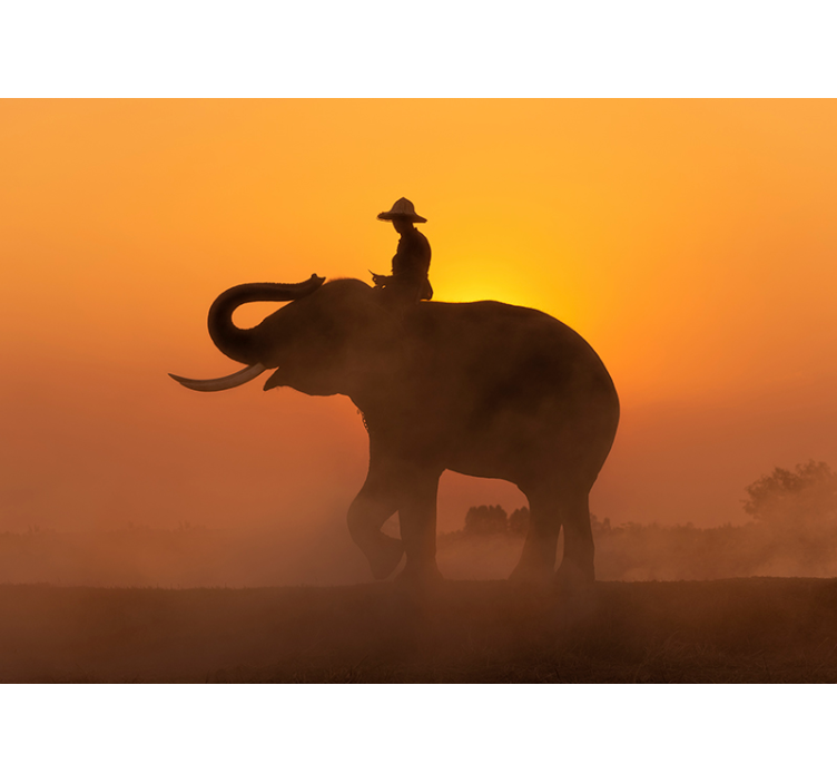 Fotomurale elefante asiatico al tramonto - TenStickers