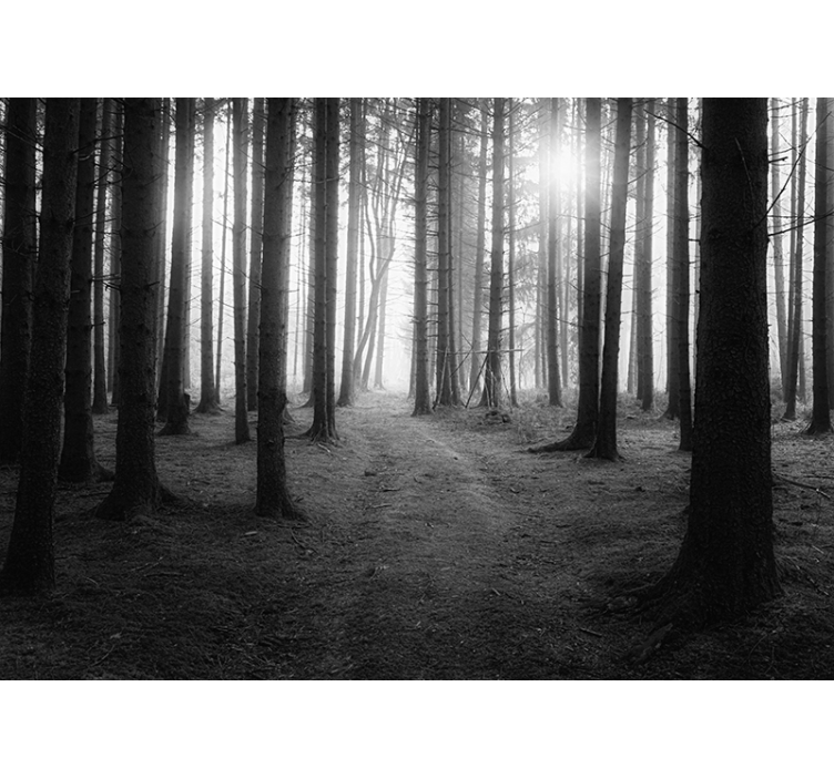 Fotomurale paesaggio natura selvaggia in grigio - TenStickers