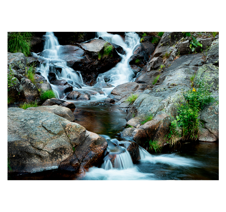 Fotomurale cascate con torrente nel bosco - TenStickers