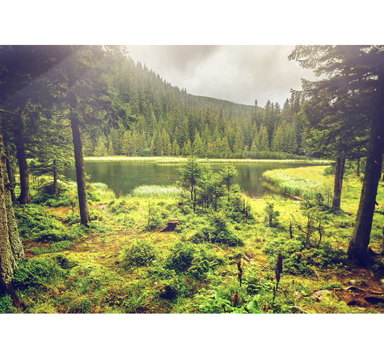 Fotomurale paesaggio con alberi e lago naturale - TenStickers