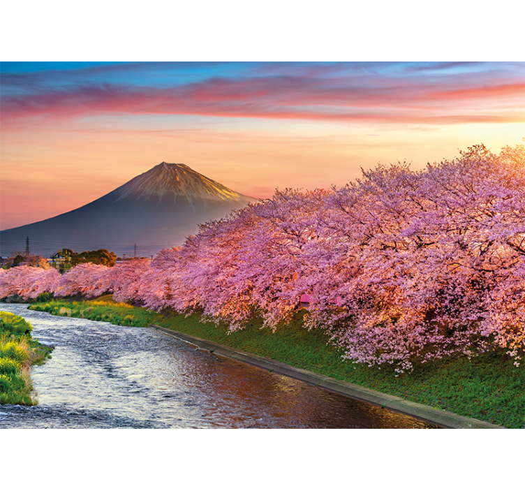 Fotomurale paesaggi fiori di ciliegio del monte fuji - TenStickers