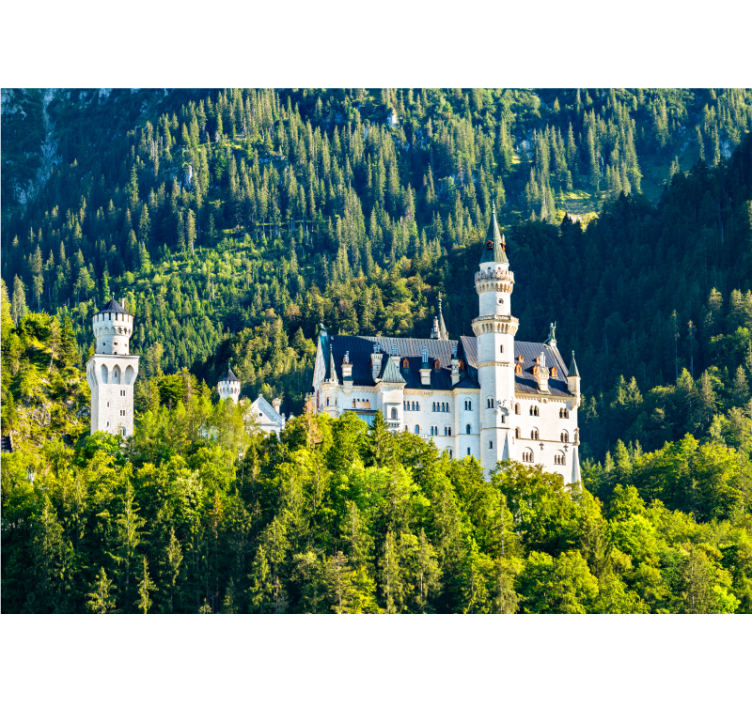 Fotomurale città vista castello di neuschwanstein - TenStickers