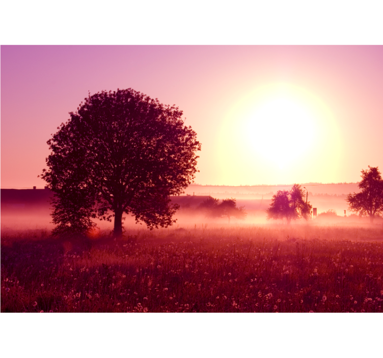 Fotomurali natura albero in silhouette al tramonto - TenStickers