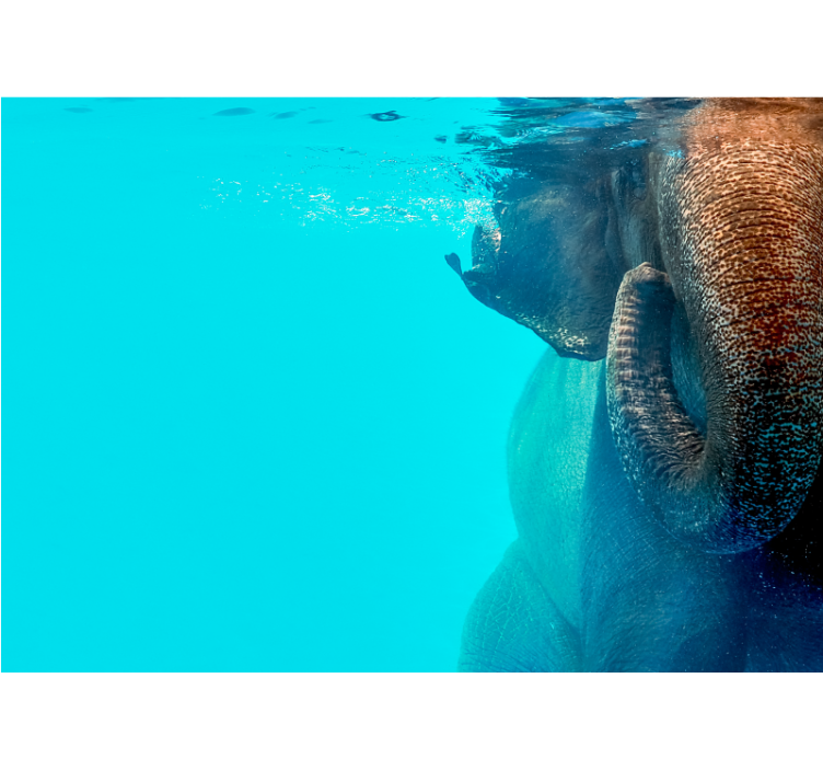 Fotomurale animali maestoso elefante sottomarino - TenStickers