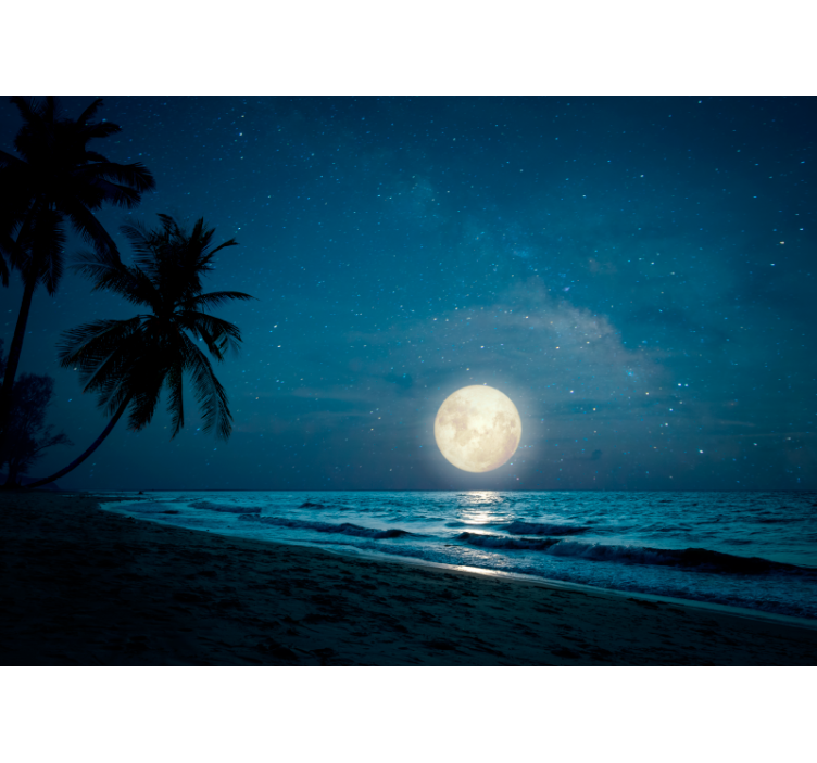 Fotomurali natura scena oceanica al chiaro di luna - TenStickers