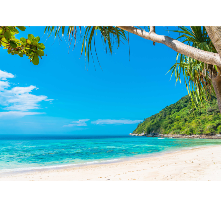 Fotomurale mare paesaggio costiero tropicale - TenStickers