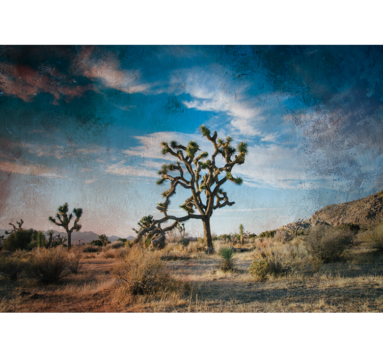 Fotomurali natura paesaggio di joshua tree - TenStickers