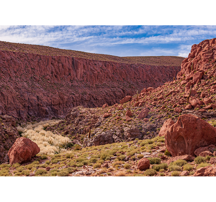 Fotomurale montagna paesaggio desertico rosso - TenStickers