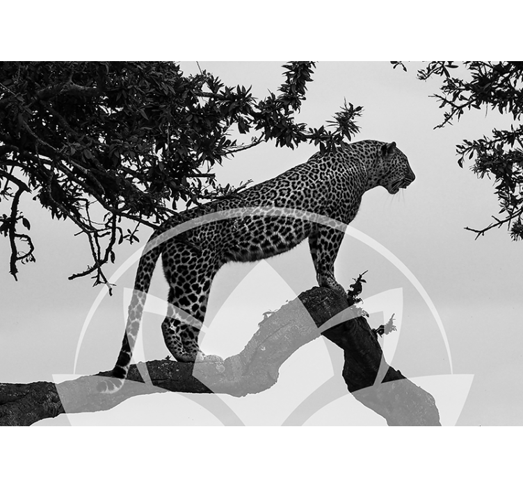 Fotomurale animali leopardo sull'albero - TenStickers