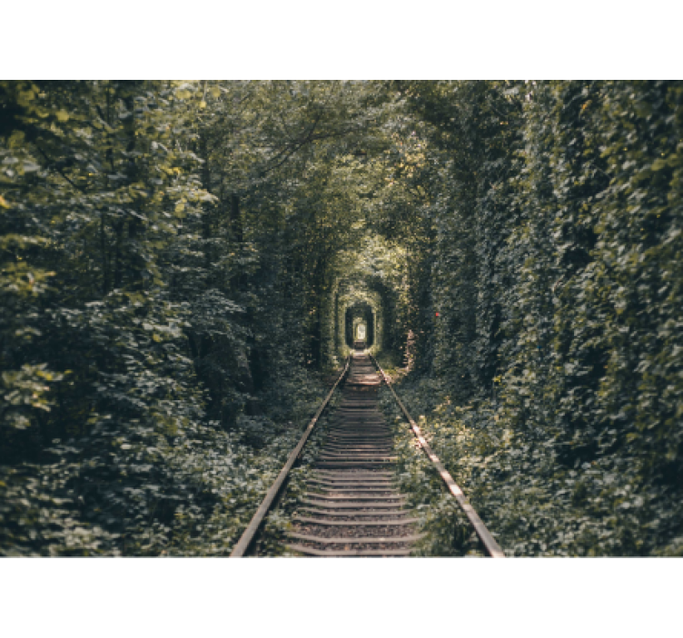 Fotomurale paesaggi sentiero del tunnel forestale - TenStickers