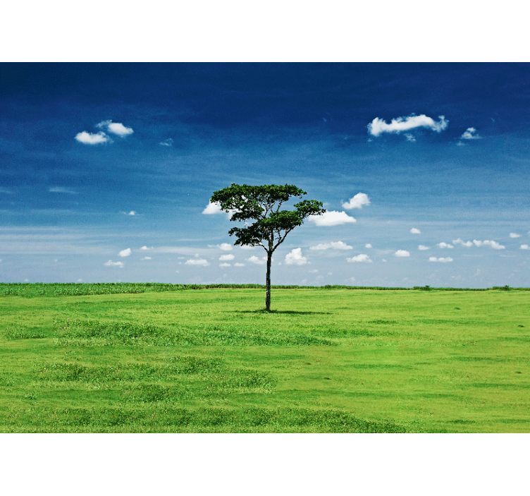 Fotomurali natura albero verde solitario - TenStickers