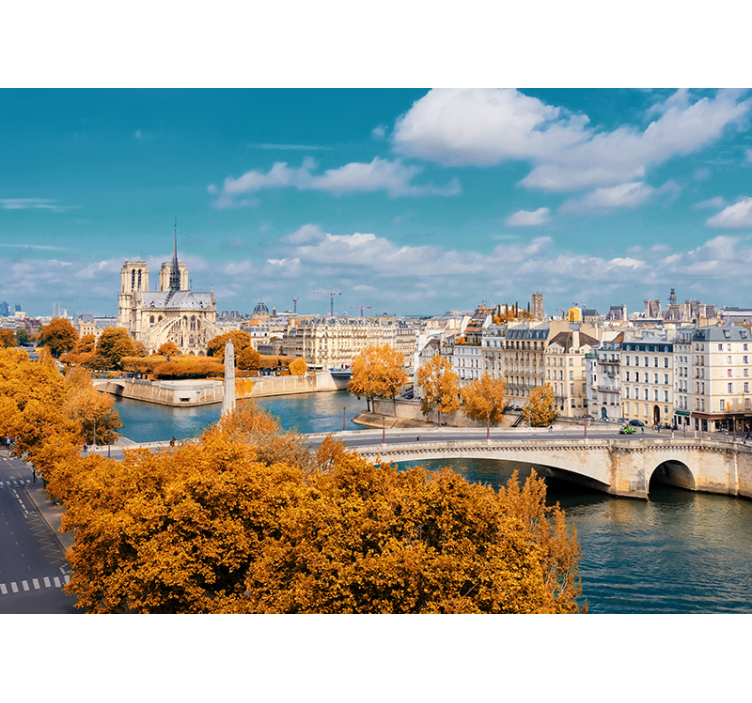 Fotomurale parigi vista autunnale di notre dame - TenStickers