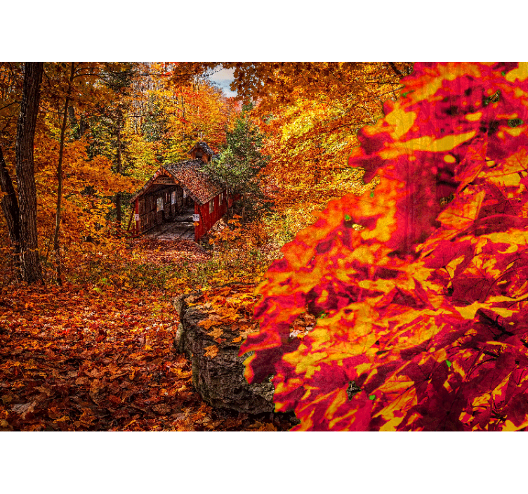 Fotomurale paesaggi paesaggio cottage d'autunno - TenStickers