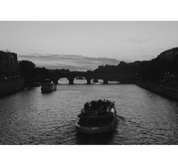 Fotomurale città vista sul fiume parigi - TenStickers