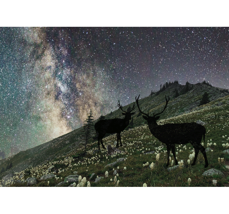 Fotomurale foresta cervi della notte stellata - TenStickers