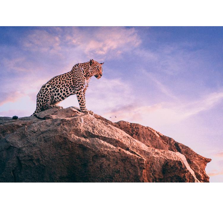 Fotomurale animali leopardo sulla roccia - TenStickers