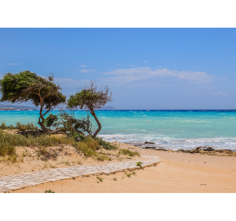 Fotomurale mare percorso scena serena - TenStickers