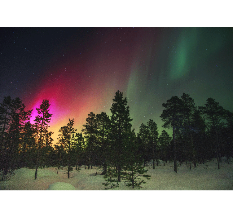 Fotomurali natura spettacolo dell'aurora boreale - TenStickers