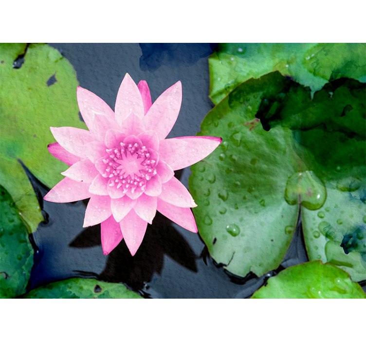 Fotomurale fiori fiore di loto rosa - TenStickers