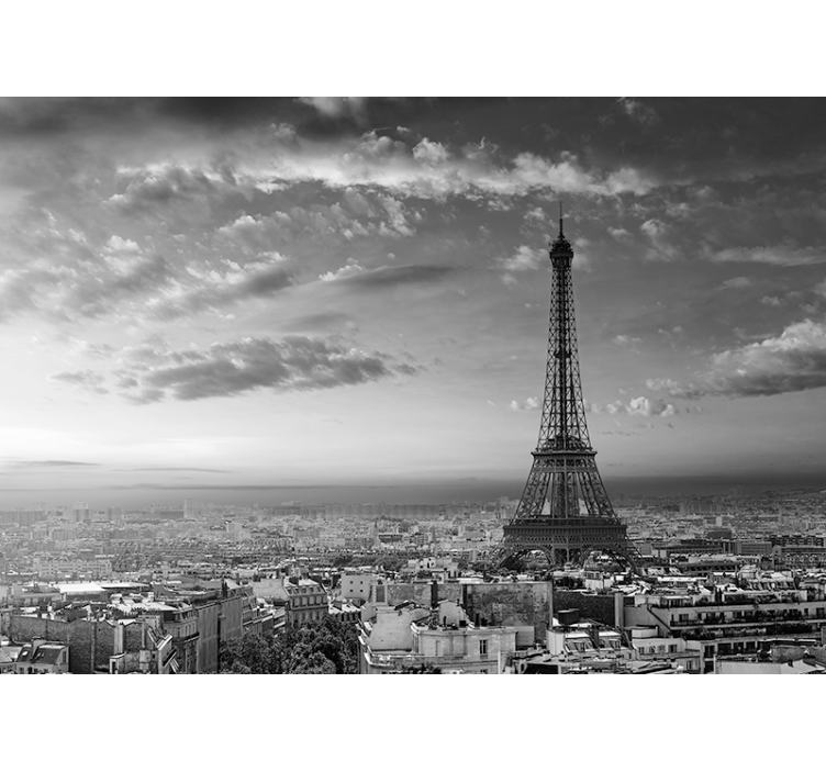 Fotomurale parigi vista panoramica torre eiffel - TenStickers