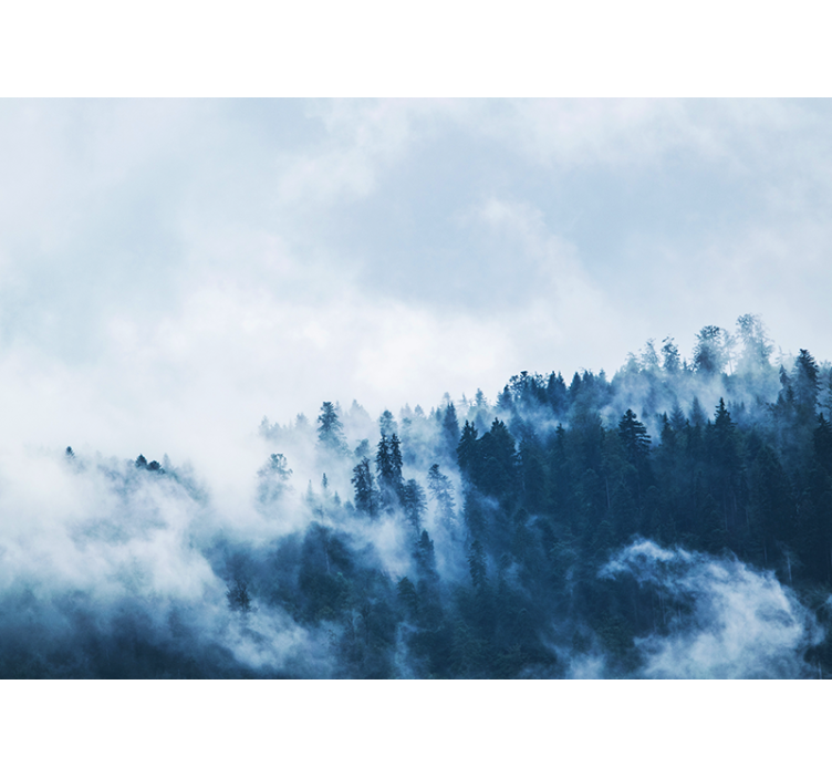 Fotomurali natura paesaggio boscoso nebbioso - TenStickers
