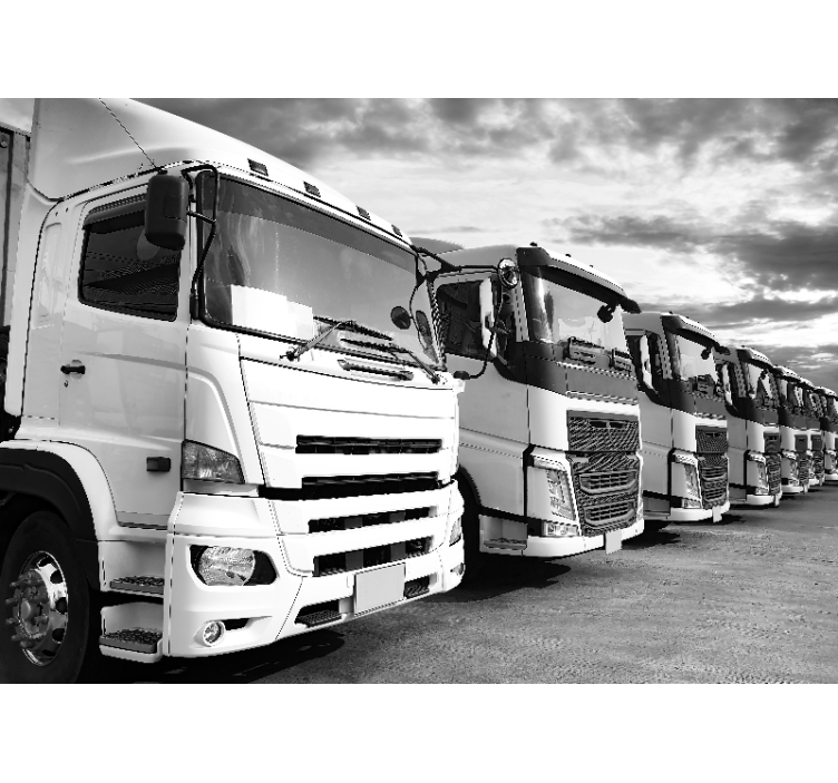 Fotomurale veicoli linea di camion - TenStickers