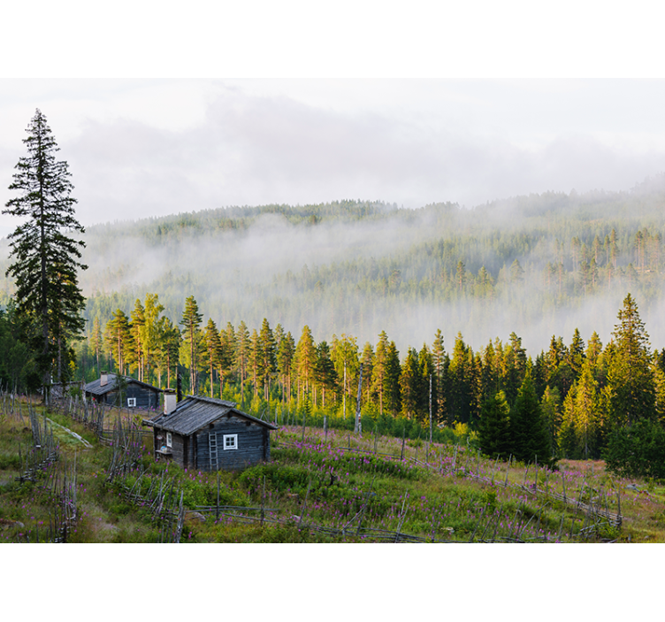 Fotomurale paesaggi foresta coperta di nebbia - TenStickers
