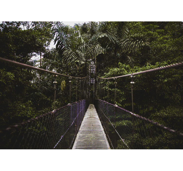 Fotomurali natura avventura sul ponte sospeso - TenStickers