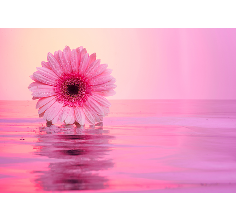Fotomurale papaveri riflesso di fiore rosa - TenStickers