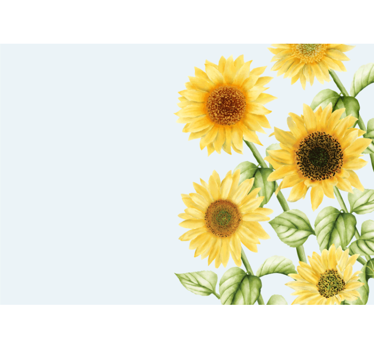 Fotomurale fiori esposizione di girasoli - TenStickers