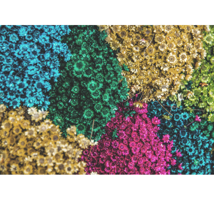 Fotomurale fiori motivi floreali colorati - TenStickers