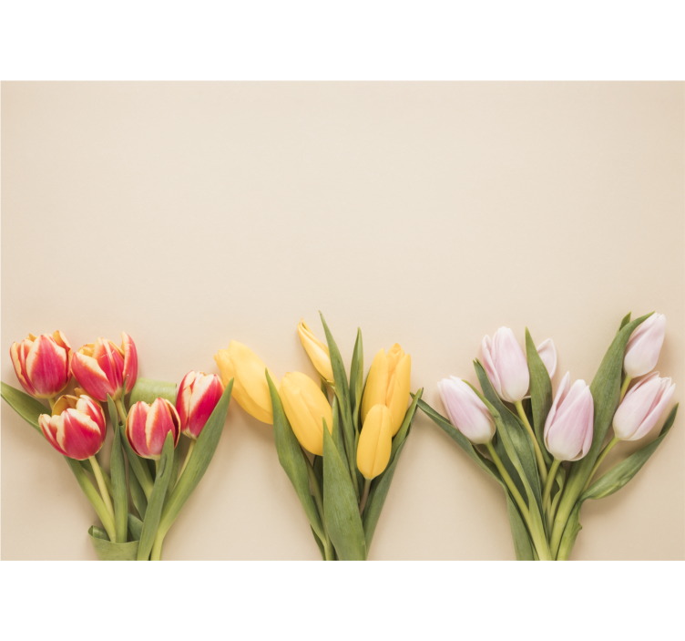 Fotomurale fiori composizione di tulipani colorati - TenStickers