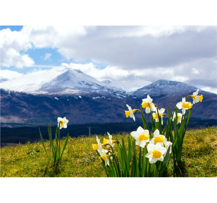 Fotomurale fiori narcisi sulle montagne - TenStickers