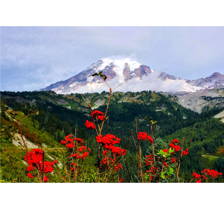 Fotomurale paesaggi montagna innevata - TenStickers