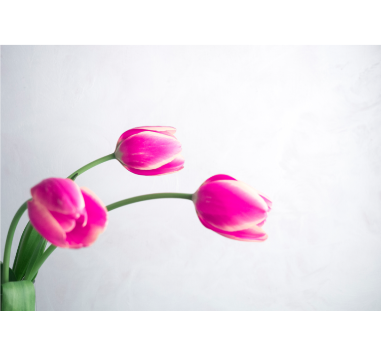 Fotomurale papaveri fioriture di tulipani rosa - TenStickers