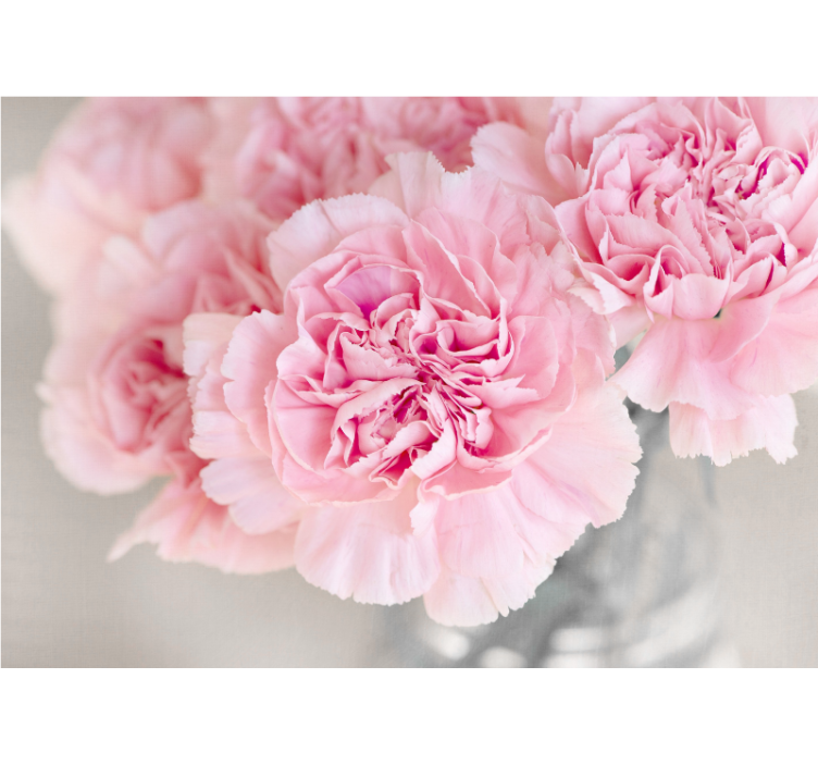 Fotomurale fiori fiori rosa incantevoli - TenStickers